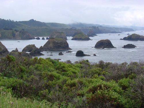 Mendocino Coast